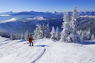 Backcountry skier ascending Riedberger Horn, ski resort Grasgehrenlifte, Obermaiselstein, Oberstdorf, Allgaeu range, Allgaeu, Swabia, Bavaria, Germany