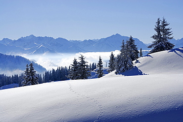 Snow-covered mountain scene, Riedberger Horn, ski resort Grasgehrenlifte, Obermaiselstein, Oberstdorf, Allgaeu range, Allgaeu, Swabia, Bavaria, Germany