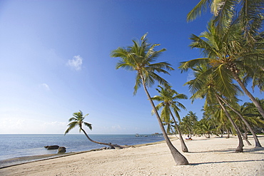 The Moorings Village (has to be mentioned in the caption, not available for commercial use), Islamorada, Florida, USA