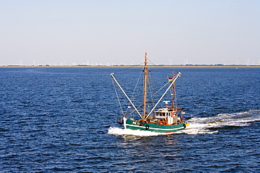 Fishing cutter, Norderney, East Frisia, North Sea, Lower Saxony, Germany