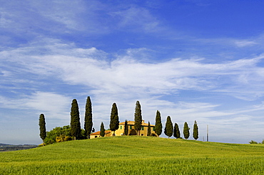 Farm with cypress trees near Pienza, Crete Senesi, Tuscany, Italy