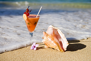 Cocktail and Conch Shell on a sandy beach, Near Maca Bana Villas, Point Salines, Grenada, Lesser Antilles, Carribean