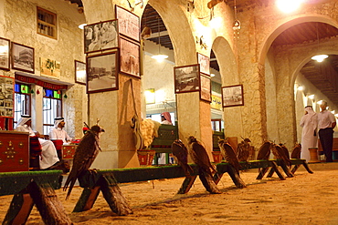 Falcons outside a shop, Traditional Souk in Doha, Qatar