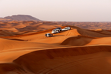 Trip in the Desert, Dubai, United Arab Emirates, UAE