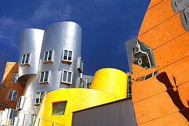 Modern Architechture, Frank Gehrys Ray and Maria Stata Buildings, MIT, Cambridge, Massachusetts, USA