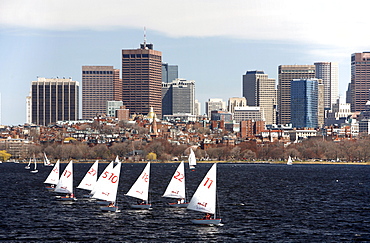 The Charles River with sailing boats and skyline, Boston, Massachusetts, USA