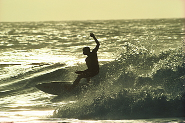 Surfer in sunset, Oahu, Hawaii, USA