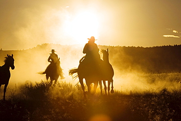 cowboys horseriding at sunset, Oregon, USA