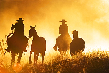 cowboys riding at sunset, Oregon, USA