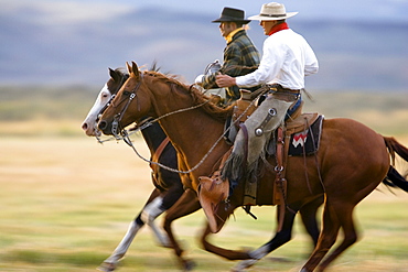 cowboys horseriding, Oregon, USA