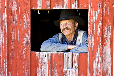 cowboy looking out of barn-window, wildwest, Oregon, USA