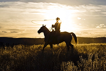 cowboy at sunset, Oregon, USA