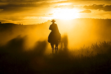 cowboy horseriding at sunset, Oregon, USA