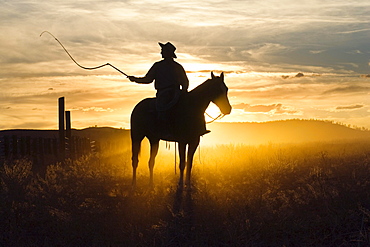 cowboy at sunset, Oregon, USA