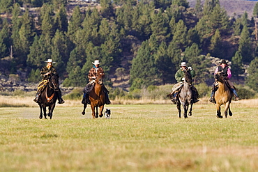 cowboys riding, Oregon, USA