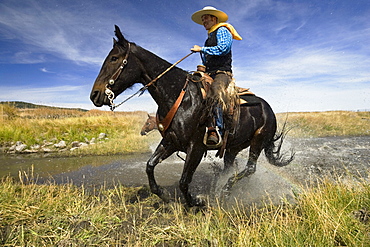 Cowboy riding in water, Wildwest, Oregon, USA