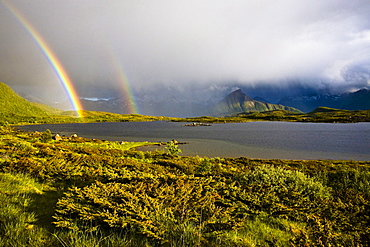 A double rainbow, two rainbows with rain showers and sunshine, Sandsletta, Austvagoya Island, Lofoten, Norway