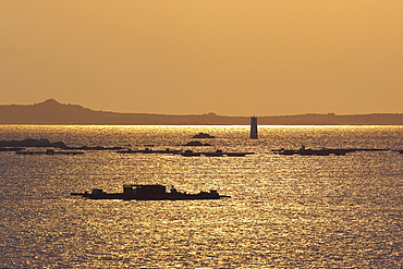 Coastal landscape with mussel cultivation farm at sunset, O Grove, RÃŒa de Arousa, RÃŒas Bajas, Galicia, Spain