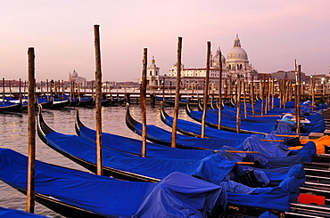 Gondola in a row, Venice, Veneto, Italy