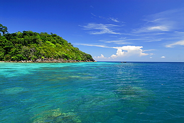 Corals in clear blue water and green island with jungle, Surin Islands Marine National Park, Ko Surin Noi, Phang Nga, Thailand