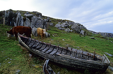 Europe, Great Britain, Ireland, Co. Kerry, Beara peninsula, ship wreck at Garnish Point