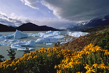 Lago del Grey, Torres del Paine National Park, Patagonia, Chile