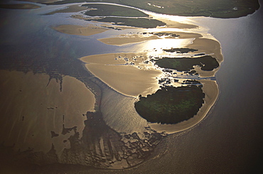 Aerial Photo, Delta of Rio Parana, Estuary in the Rio de la Plata, Buenos Aires, Argentina, South America