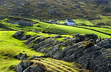 Rural landscape with farmhouses in the Ring of Beara, near Allihies, Co. Cork, Ireland, Europe