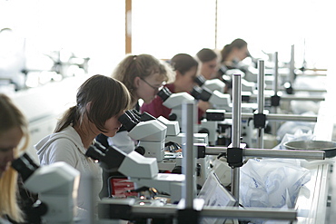 Students in zoological training, Bio Center, LMU, Ludwig Maximilians Universitaet, Martinsried, Munich, Bavaria, Germany