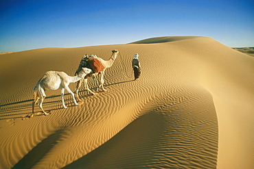 Caravan, camels and a man walking over a dune, Grand Erg Occidental, Sahara, Algeria, Africa