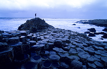 Giant's Causeway, Basalt Columns at the coastline in the evening, County Antrim, Ireland, Europe