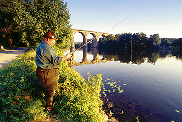 Angler fishing, Railway viaduct in the background, Herdecke, Ruhr Valley, Ruhr, Northrhine Westphalia, Germany