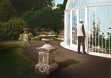 Green house at the garden of a manor house, Devon, Southern England, Great Britain, Europe