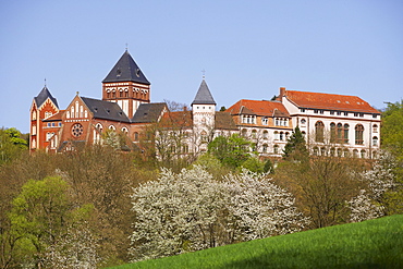 House of the Steyler Mission at St. Wendel in spring, Saarland, Germany, Europe