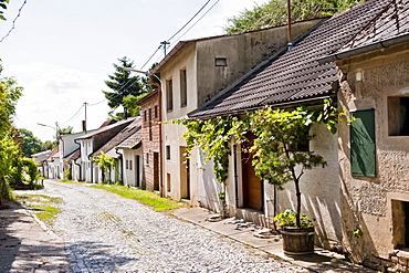 Wine region of Poysdorf, Wine region, Lower Austria, Austria