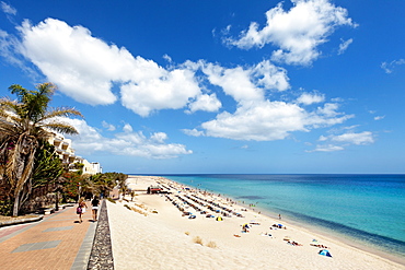 Beach and seaside promenade, Playa del Matorral, Morro Jable, Jandia peninsula, Fuerteventura, Canary Islands, Spain