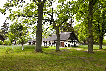 Traditional house with thatched roof in the village Kluki lawn, Polish Baltic Sea coast, Kluki, Pomeranian, Poland