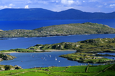 Coast area in the sunlight, Derrynane Bay, Ring of Kerry, County Kerry, Ireland, Europe