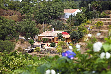 Country house in the Serra de Monchique, Algarve, Portugal, Europe