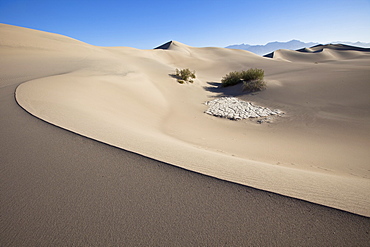 Mesquite Flat Sand Dunes, cracked clay and bushes, Death Valley National Park, California, USA, America