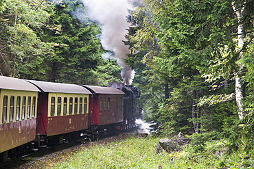 Forest, steam railway, Narrow Gauge Railways, Brockenbahn, Schierke, Harz, Saxony-Anhalt, Germany