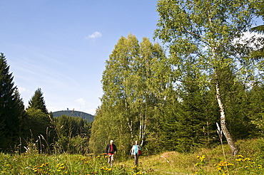 Nature reserve Green Belt, inner German border, Harz, Saxony-Anhalt, Germany