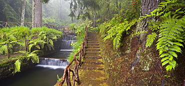 Stream with steps made of stones, Caldeirao Verde, Queimadas Forest Park, Madeira, Portugal