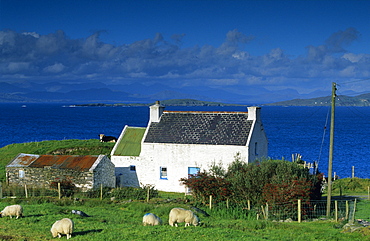 Cottage, farmhouse along the coast, Ring of Beara, County Kerry, Ireland, Europe