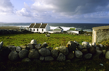 Coastal landscape with cottage and sheep, Bloody Foreland, Gweedore, County Donegal, Ireland, Europe