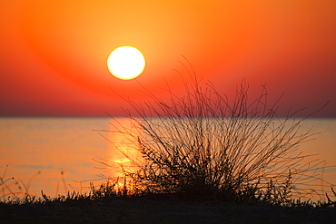Sunrise on the beach, Cirali, lycian coast, Mediterranean Sea, Turkey, Asia