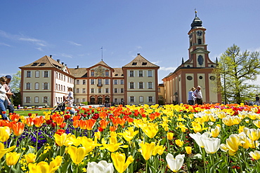 Flower meadow with tulips and Mainau Castle, Mainau Island, Lake Constance, Baden-Wuerttemberg, Germany, Europe