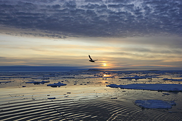 Midnight sun in the Arctic Ocean near Spitzbergen, Norway, Europe