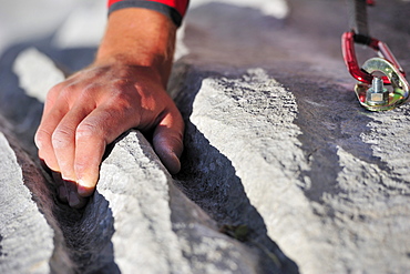 Climbers hand at water crack, bilt with carabiner, Multerkarwand, Treffauer, Wegscheidalm, Wilder Kaiser, Kaiser Mountain Range, Tyrol, Austria