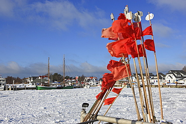 Harbour of Vitte in winter, Hiddensee Island, Western Pomerania Lagoon Area National Park, Mecklenburg Western Pomerania, Germany, Europe